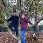 boys climbing trees