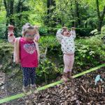 climbing in the woods