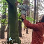 climbing a tree