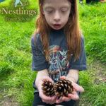 fern-cones finding